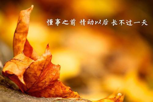 全文浏览人面桃花长相忆：+番外+完结好文分享（阮雾梨闻砚辞）_人面桃花长相忆：+番外+完结好文分享（阮雾梨闻砚辞）全文结局