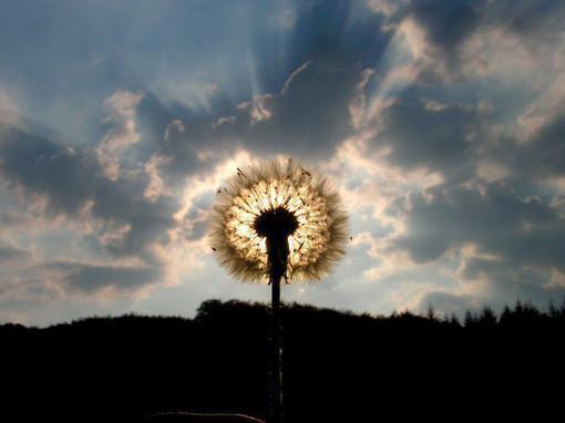 江晚澄顾修迟小说全文阅读 江晚澄顾修迟