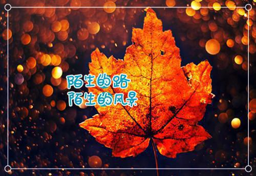 萧叙淮姜泠小说(望不见眼底星河)小说全集在线下载_章节前文+后续（萧叙淮姜泠）