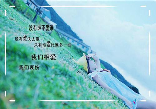 溺光无广告 姜雨晴许厉舟在线免费阅读