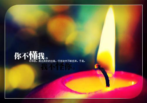 患癌未婚夫诈死后，悔红了眼在线阅读 秦安林茉小说