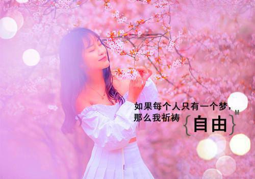 夏星林素素是什么书 夏星林素素免费章节在线阅读