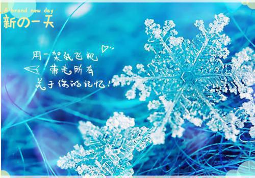 秦雨菲宋嘉周斯年完整版 秦雨菲宋嘉周斯年小说全文在线阅读