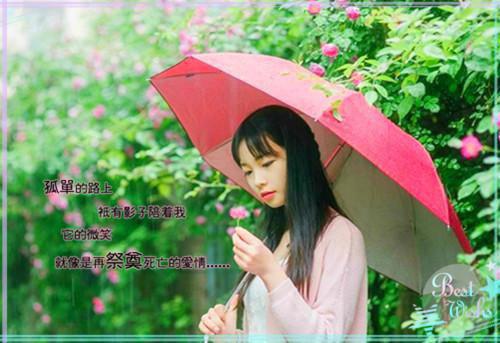 我自来时就是春免费阅读 陆怀渊沈玉容小说无弹窗