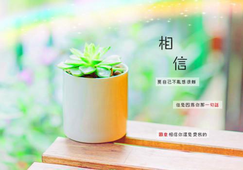愿将过往秋收冬藏：删减内容修复版本最新章节列表_愿将过往秋收冬藏：删减内容修复版本全文免费阅读(孟棠音季怀瑾)