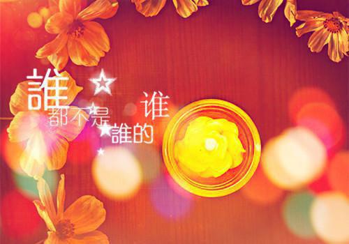 (最新)萧墨楚瑶小说完整版免费阅读