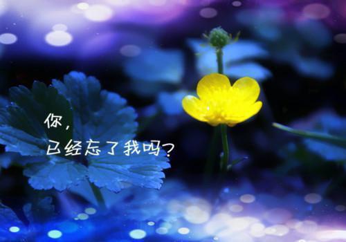 虞晚晚谢厅南谭定松主角的书 溺养娇脔全文阅读免费
