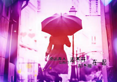 苏婉卿姜敏免费小说 苏婉卿姜敏在线阅读