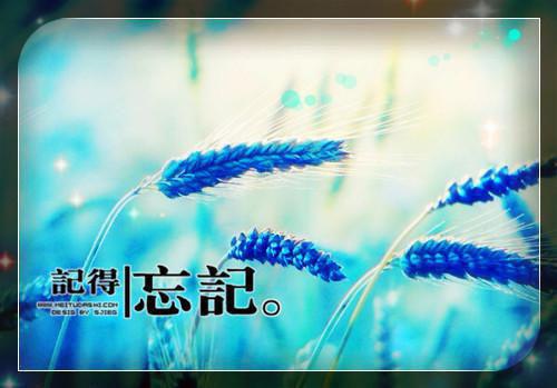 裴宴清林青云免费章节最新 昭昭不破镜by甜十安