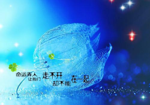 深情男主都爱恶毒女配小说 江辞晚傅云承在线阅读