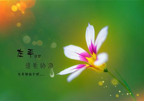 姜晨王丛的小说 被钉棺中十年，还想让我对抗灵异小说免费阅读