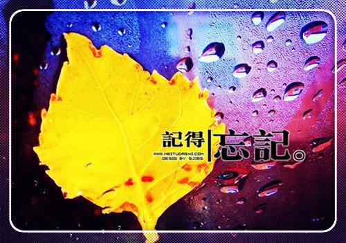 黎笙念傅辞年免费全文 黎笙念傅辞年小说在线阅读