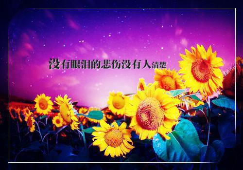 当爱意逝去：结局+番外（宋清月顾承安）完整全文在线阅读_当爱意逝去：结局+番外免费阅读全章节目录（宋清月顾承安）