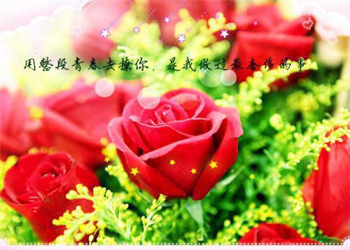 慕晚夏顾砚廷最新章节（苔藓爬满旧日诺言一口气读完：全文+后续）全文免费阅读无弹窗大结局_苔藓爬满旧日诺言一口气读完：全文+后续免费阅读（慕晚夏顾砚廷）