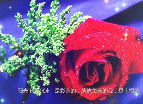 曲云贞谢之澜全文阅读最新 曲云贞谢之澜小说目录