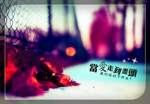 林希林成峰免费全文 林希林成峰小说在线阅读