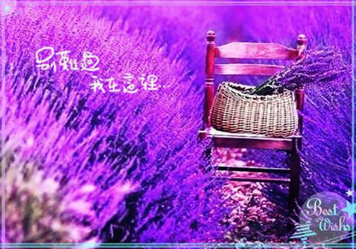主角周密蓝岚叶澜小说免费阅读最新章节