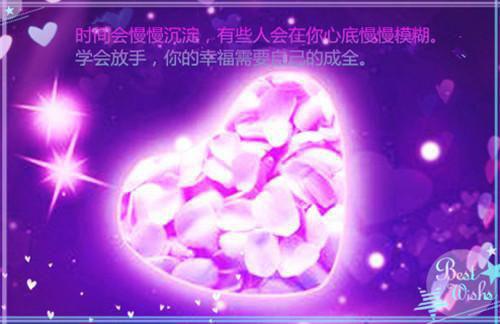 苏今禾的小说真千金遗忘法则：+后续苏今禾傅均寒全文在线阅读