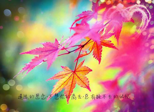 泱泱长乐未央：结局+完整版鹿泱泱陈川黎诗雪无广告小说免费在线阅读
