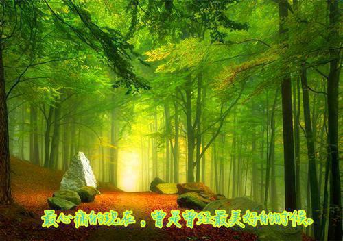 江宿月裴宴宁全文免费阅读最新 江宿月裴宴宁