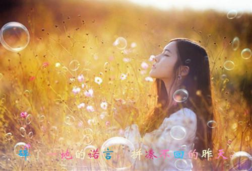 爱如残月，破镜难圆宋砚辞乔知薇小说在线免费阅读(大结局)