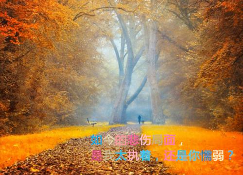夏珠纪凌然全文最新章节正版小说免费阅读