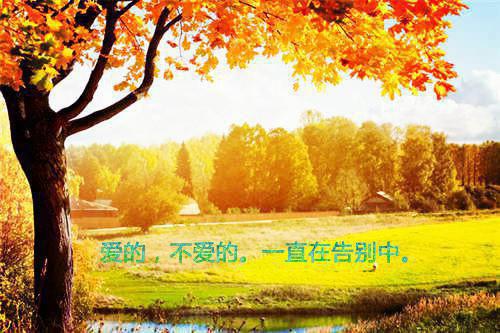 苏晚晴程宇飞小说 苏晚晴程宇飞全文免费阅读