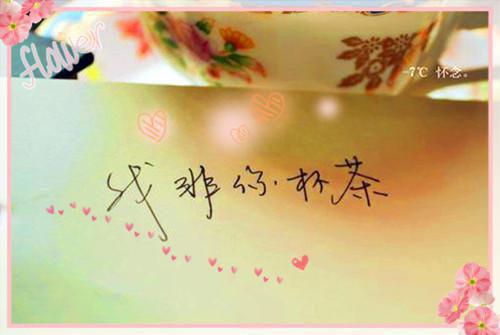 单菲儿（史上最疯批女主嗨翻年代极品单菲儿）TXT无套路在线+无广告结局