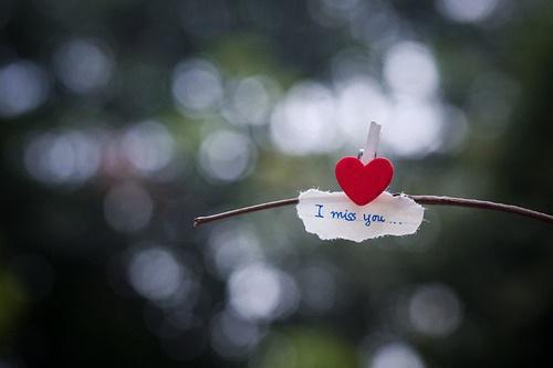 小小赘婿候选人，想抢我女儿家产全文在线阅读无弹窗阅读 陈心柔陆寻谢之钊小说