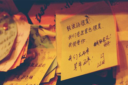 完结文提出和离后，相公甘愿当替身：柳婉清云逸在线最新章节列表_完结文提出和离后，相公甘愿当替身：柳婉清云逸在线全文阅读