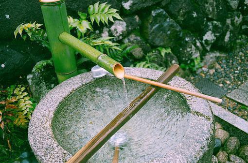 爱意随风散落结局+番外+完本最新小说（裴颂唐悠）全文阅读