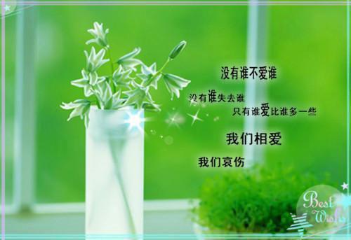 周京泽乔念江月宁小说叫什么名字 周京泽乔念江月宁全文免费阅读