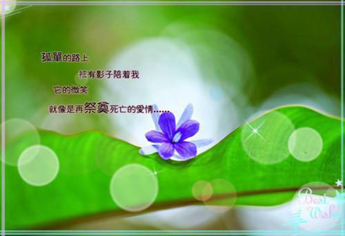 李玄翊宋采薇章节目录 我靠腹中萌宝的心声，把自己卷成了盛世宠妃小说免费阅读无弹窗