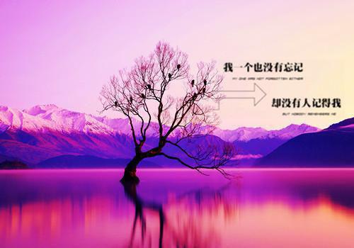 昭儿免费章节最新 入赘王府后，我成为人生赢家by老树