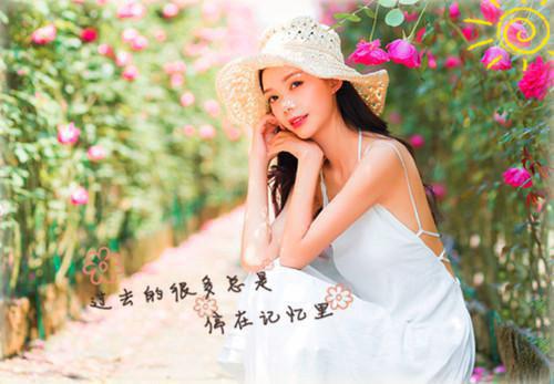 时紫的小说前男友身价千亿，却还是忘不了我关莹贺青阳全文在线阅读