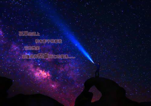 夫君为白月光点天灯抢我救命药无广告 云挽星萧玄铮在线免费阅读