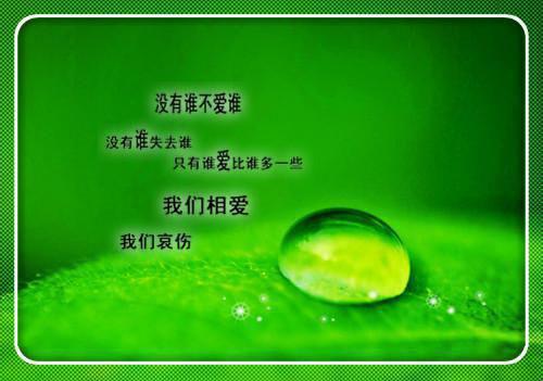 他们订婚那天，她心死了小说(孟星檀楚淮宴)外篇+结局（他们订婚那天，她心死了）全篇在线阅读