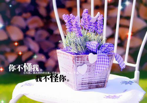 温念初姜建和完整未删减版在线阅读 温念初姜建和结局