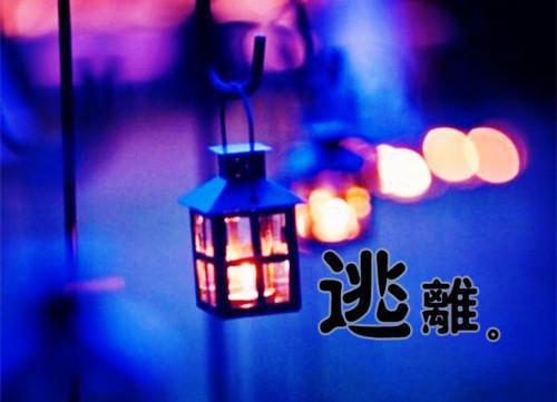 八零让爱如江水流远番外+结局（顾辞白沈心宜）小说在线阅读