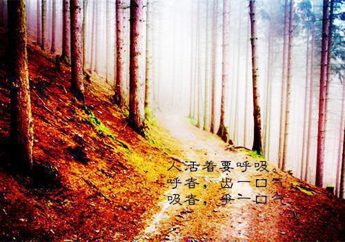 阮洛汐季慕辰最新章节免费 阮洛汐季慕辰第二章在线阅读