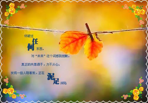 回首爱你正浓时：在线（周稚芸沈墨琛）全文浏览_回首爱你正浓时：在线全文浏览