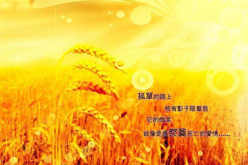 苏御李天昊免费全文无弹窗 开局直播炸狗盆，听劝干翻无人机小说在线阅读