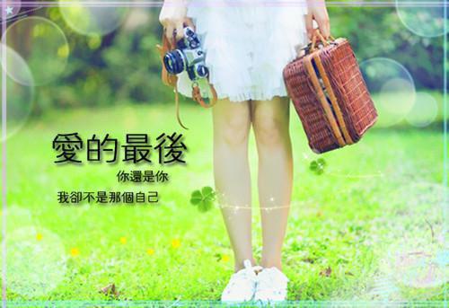 阮荷夜无烬小说全文阅读 阮荷夜无烬第1章