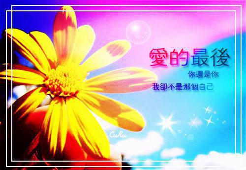 沈离歌呼延行小说 折他小说全文：全文+后续+番外章节阅读