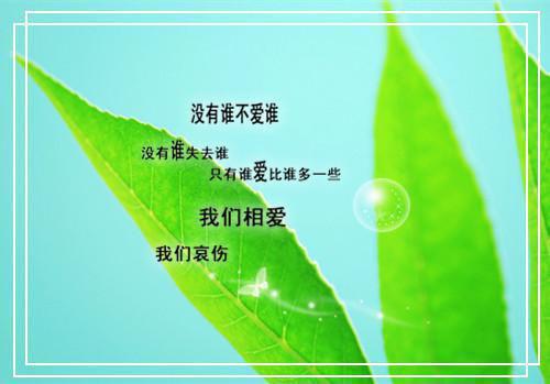 富豪老公帮白月光养孩子,我改嫁黑莲花他悔疯了小说全文+番外陆霆深沈念林诗诗小说免费试读