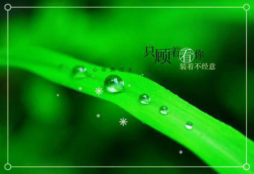 话梅(结局) 孟志泽云云赵颖娴免费阅读全文
