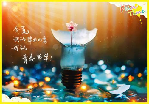 莫沉止安暖免费全本小说 莫沉止安暖章节目录