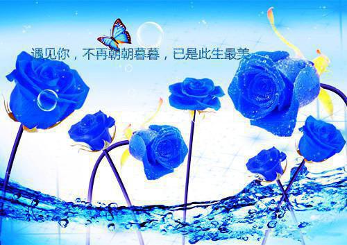 陆沉孙悟空结局是什么 陆沉孙悟空免费阅读全文