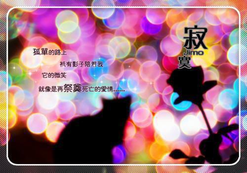 苏青青陆南辰大结局免费阅读 苏青青陆南辰全文小说
