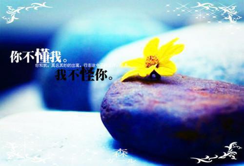 十三年等一片花海在线阅读 沈简如陈停舟周琪穗小说